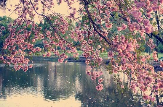 Parco Vajirabenjatas